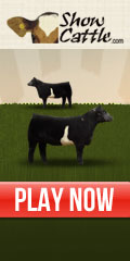Show Cattle Game
