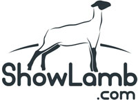 Showlamb